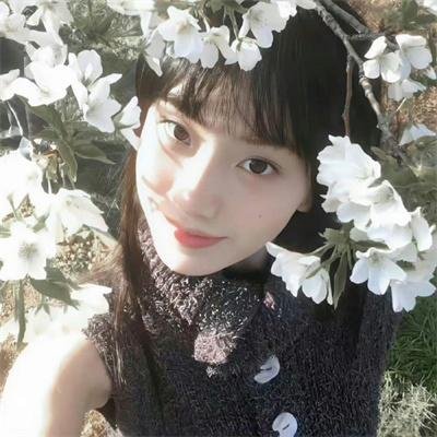 乘上夏日影像